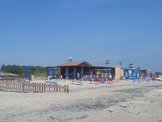  Divirtiéndose en la playa 